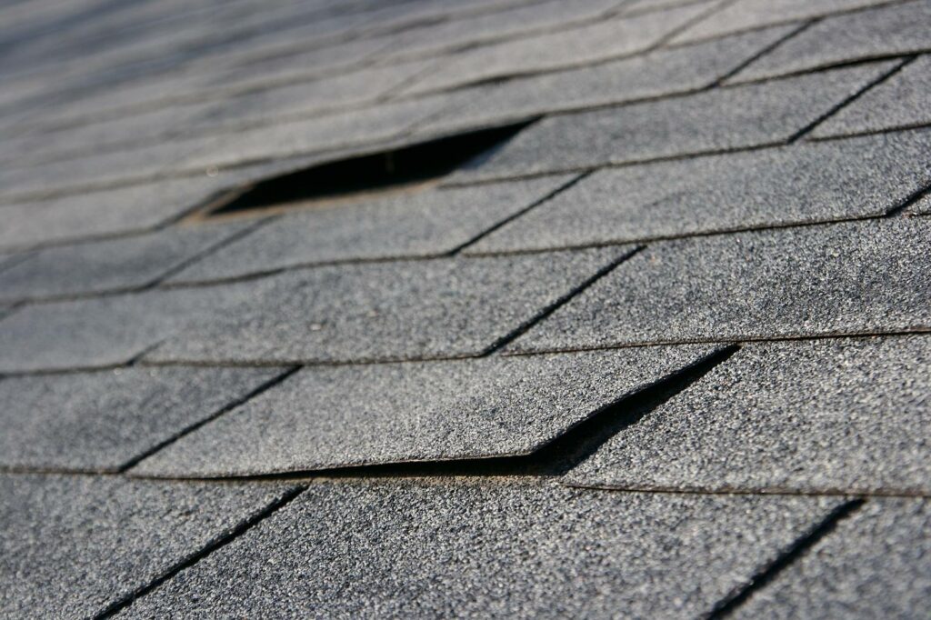 roofer in freeport