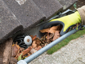 Angelton Roofing: Gutter Cleaning