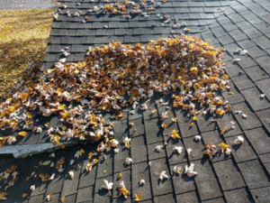 Brazosport Roofing maintaining a roof for fall