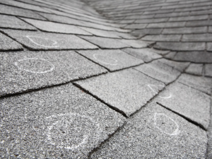 Expert conducting a detailed roof inspection in Brazosport, essential for maintaining roofing integrity.