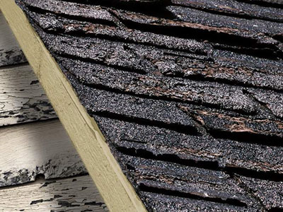 Brazosport Roofing, LLC Images